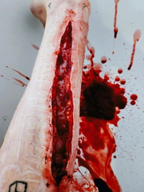 XIII.is.lost tweet media