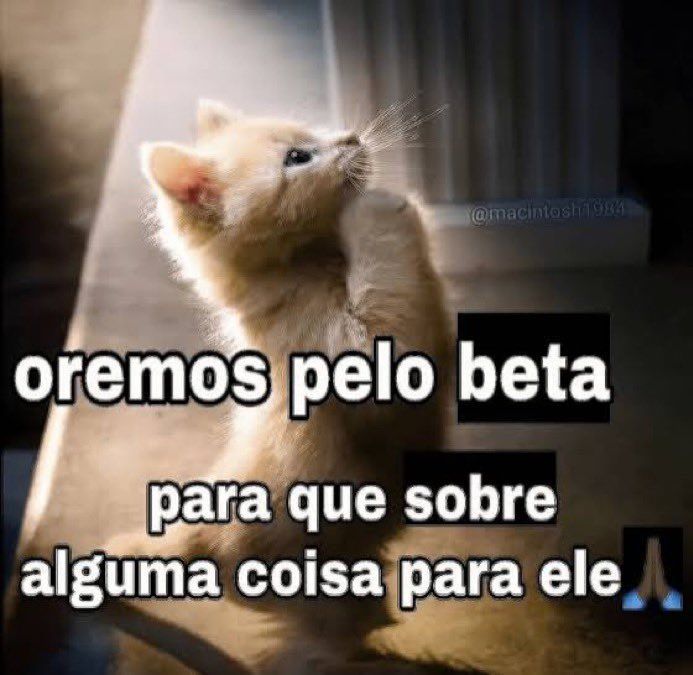 ✠potes✠ tweet media