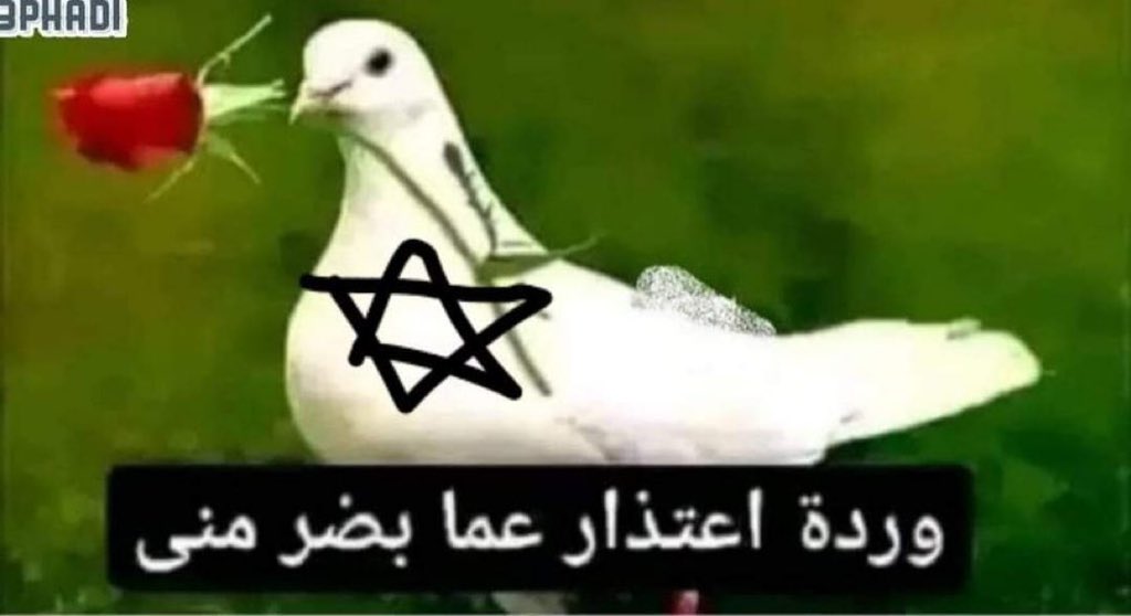 El Rey IBRAHIM  tweet media