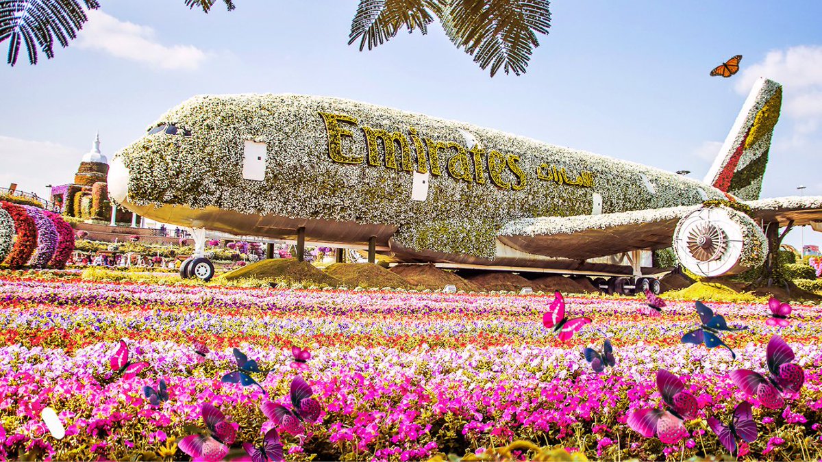 ashendsilva's tweet photo. A desert full of magic! My cinematic journey through Dubai Miracle Garden is live flowers, colors, and even butterflies 🦋.

https://t.co/EBuBA4aTql

@visitdubai #dubai #travel #cinematic https://t.co/jIgtlq4pm8