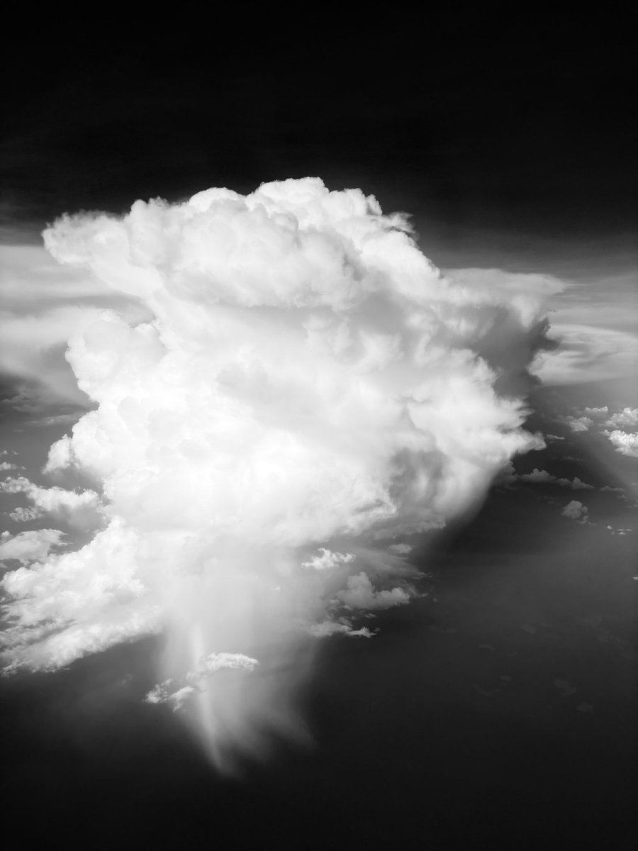 Jordi soeters tweet media