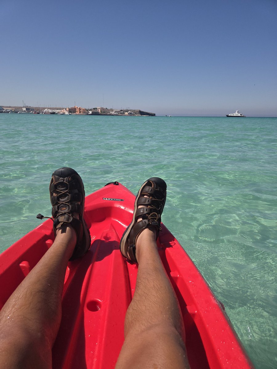 Angel🌴 tweet media