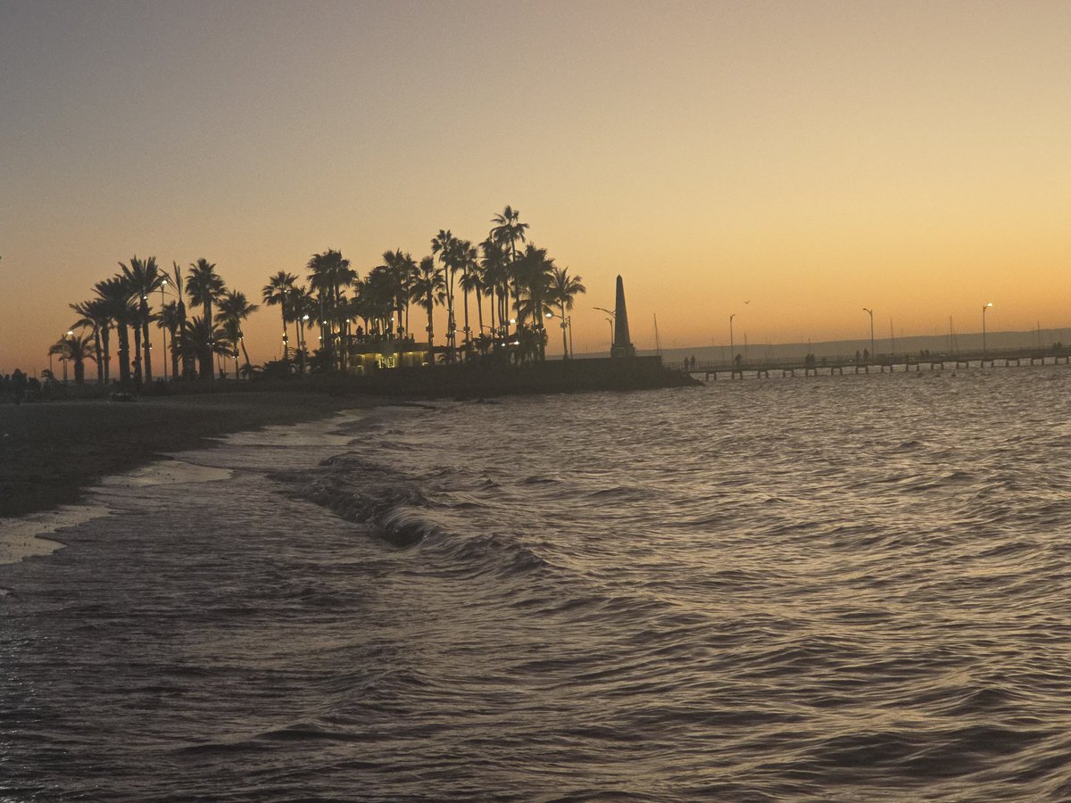 Angel🌴 tweet media