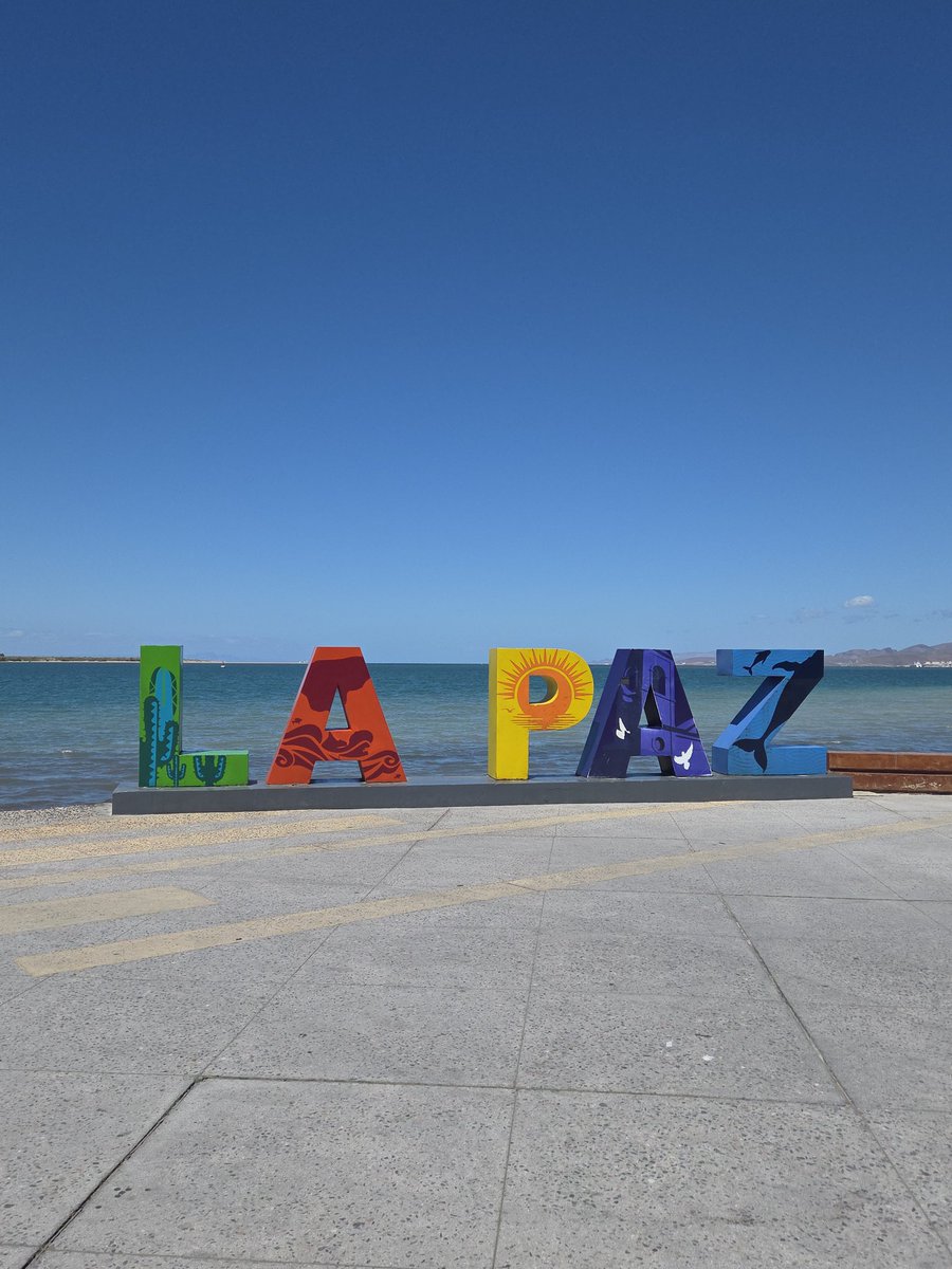 Angel🌴 tweet media