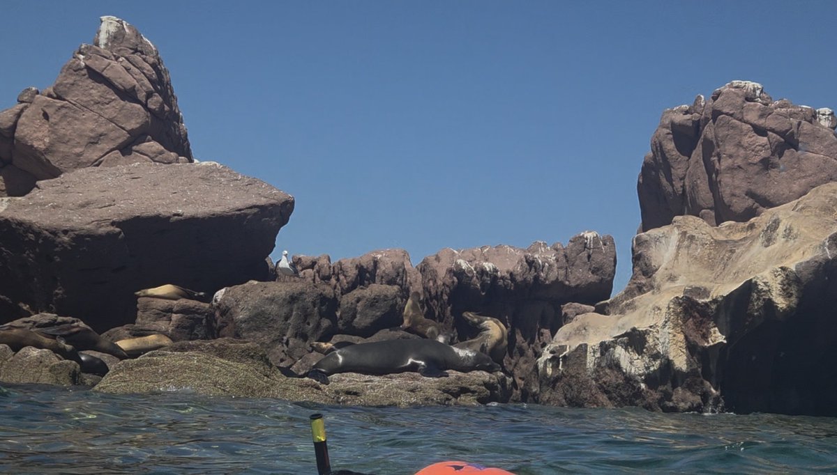 Angel🌴 tweet media