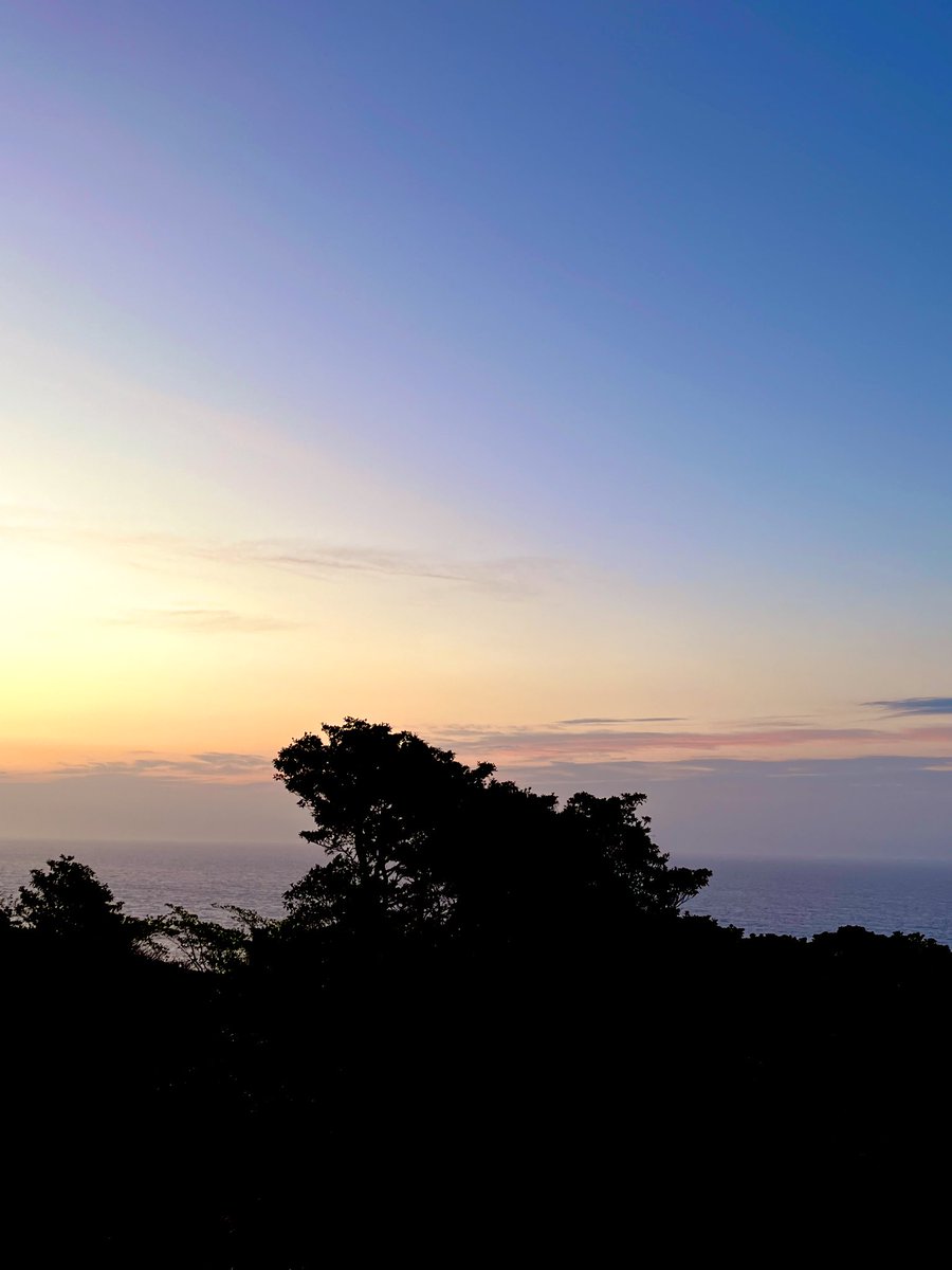 🌸同感🌸 tweet media