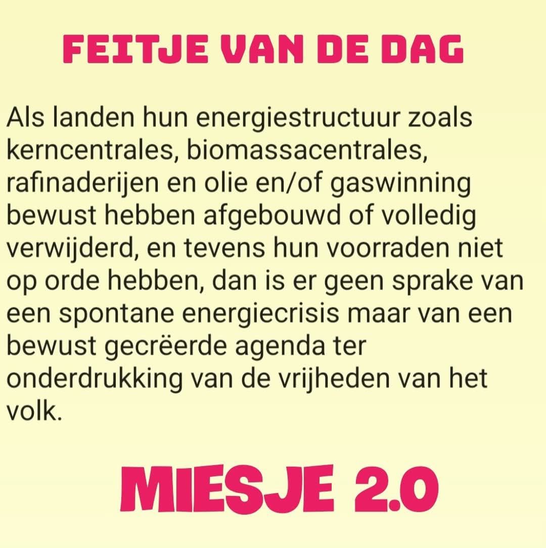 Mieke van Agtmael PATRIOT tweet media