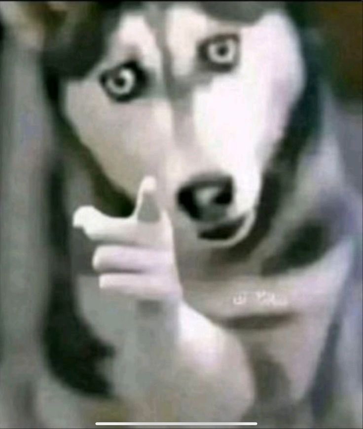 Oyindamola tweet media