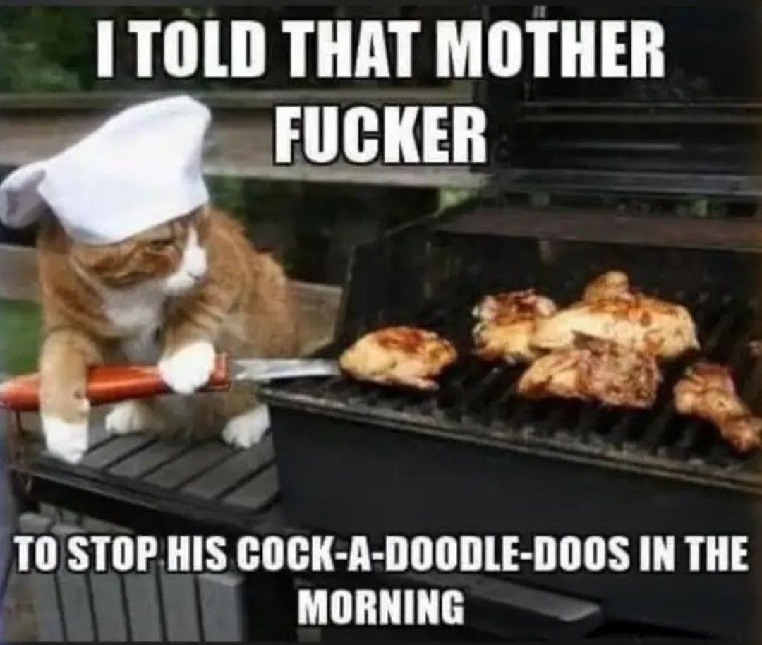 AmericaReal tweet media