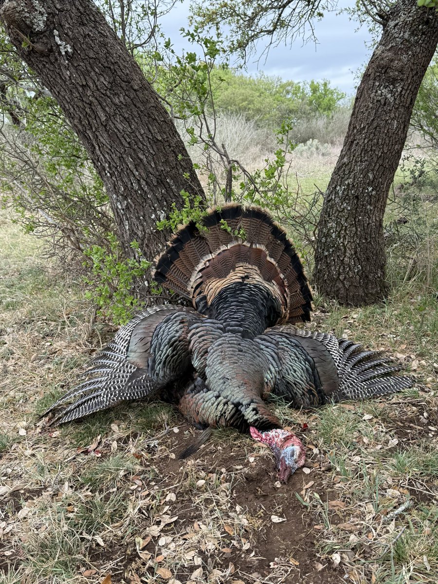 Trey Crocker tweet media