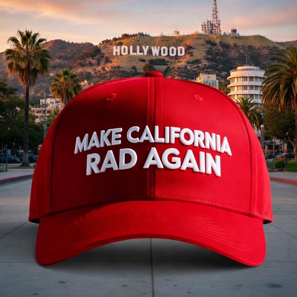 Stella X tweet media