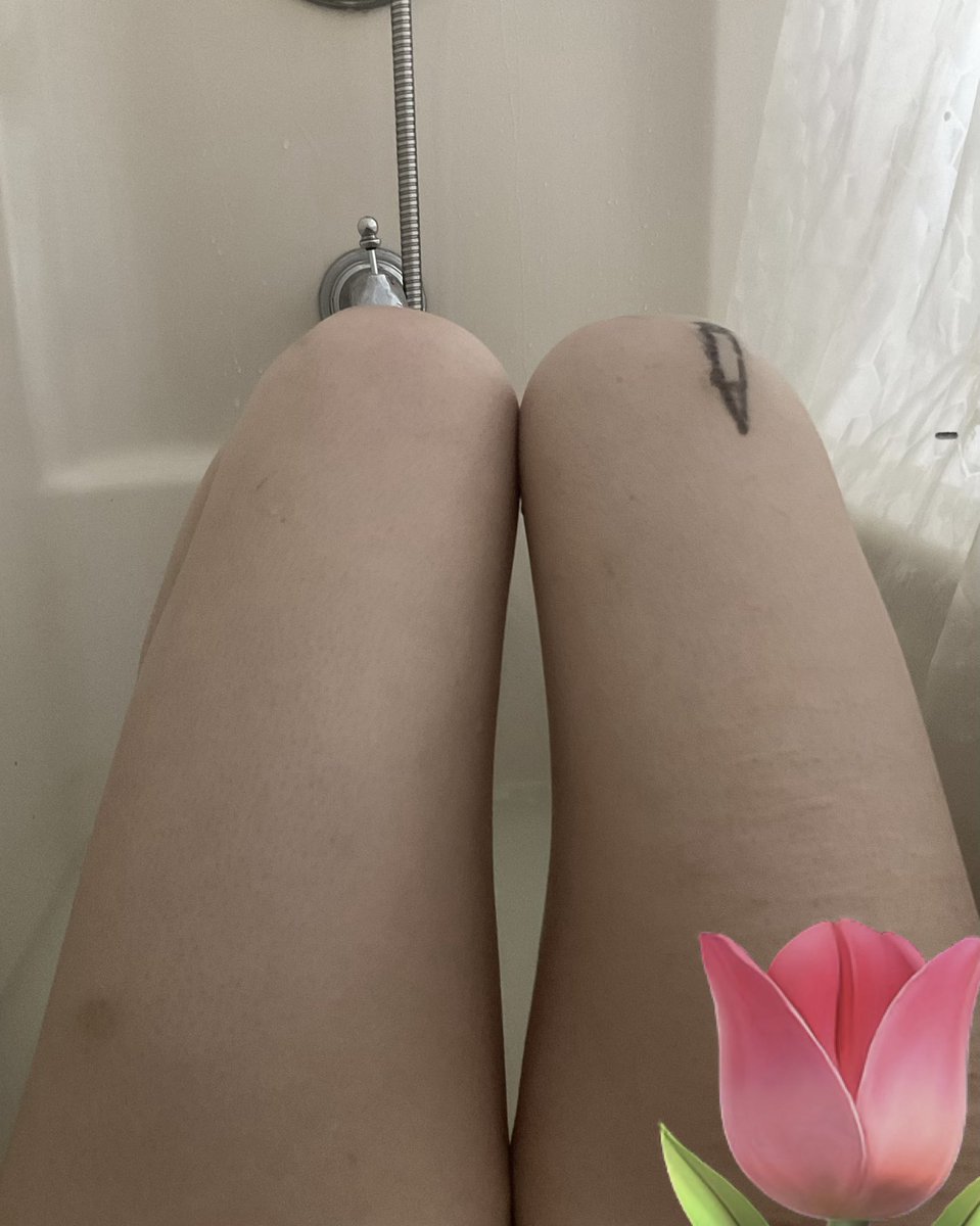 delyne 🌲𖠰 tweet media