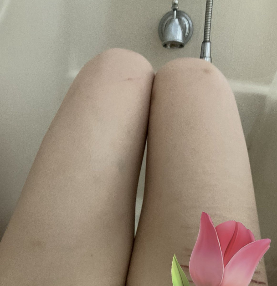 delyne 🌲𖠰 tweet media