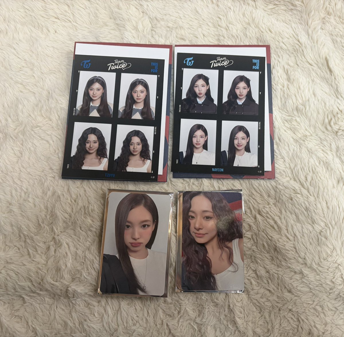 来世は猫 tweet media