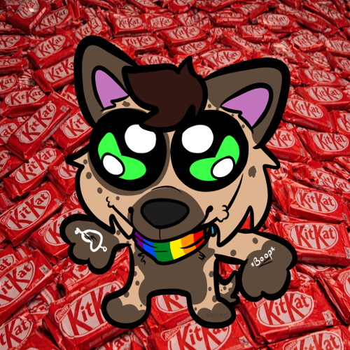 Extatic🦦 tweet media