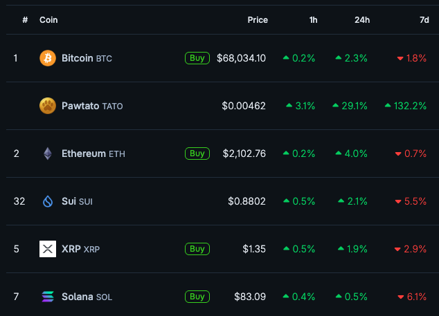 Kayson • Sui tweet media