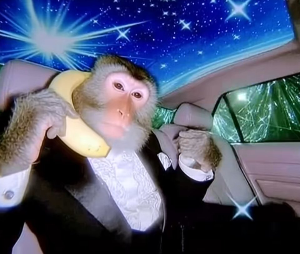 Esoteric Monkeys tweet media