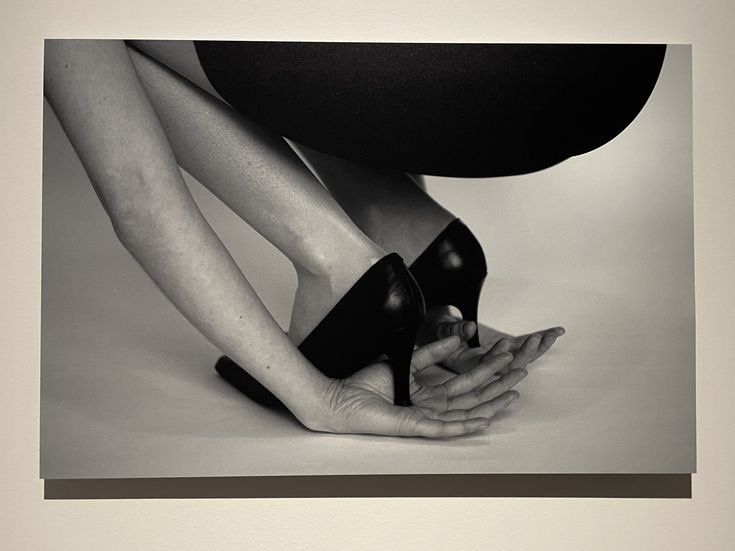 cheyene norah tweet media