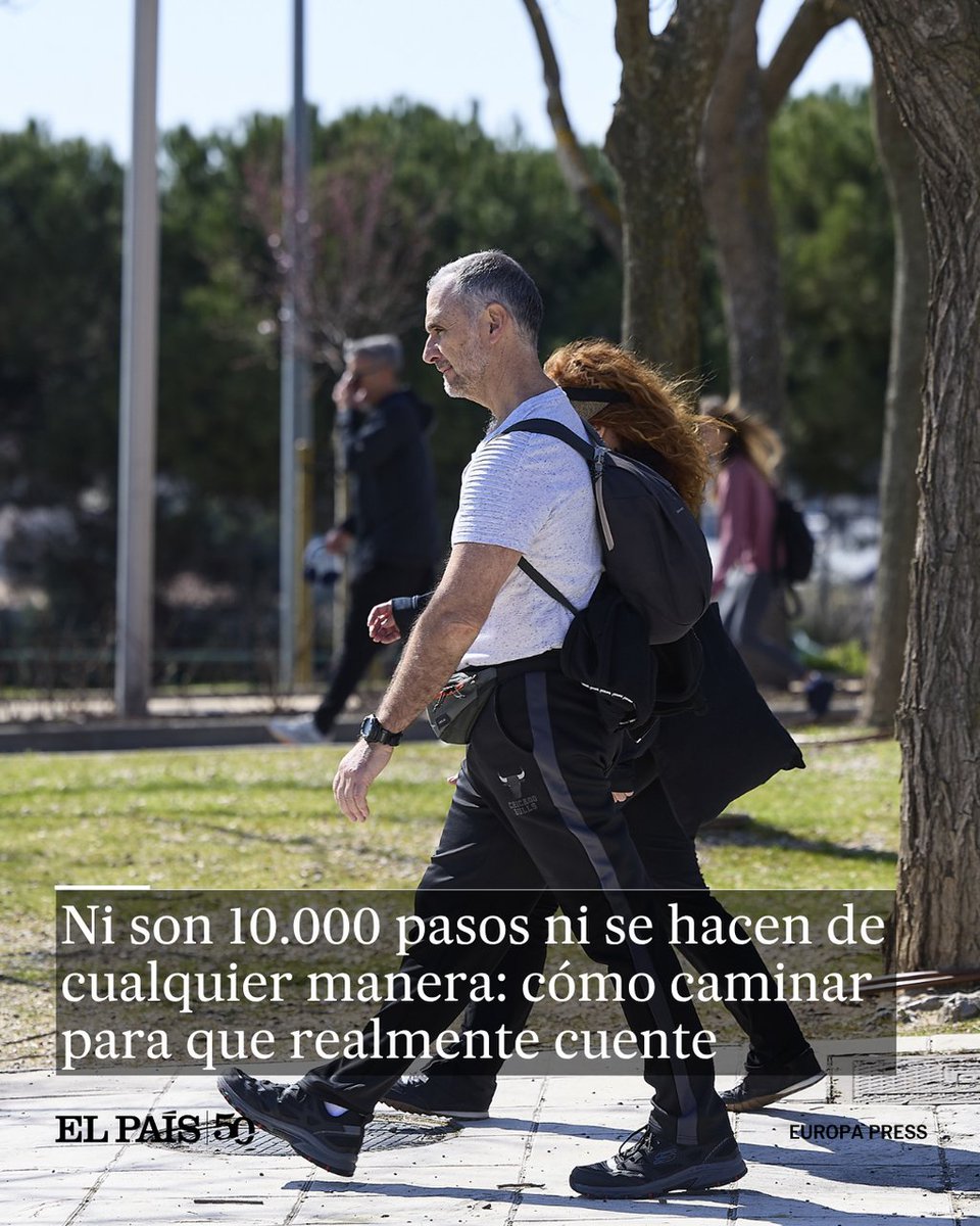 EL PAÍS México tweet media