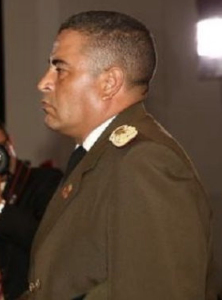 freddyzur tweet media