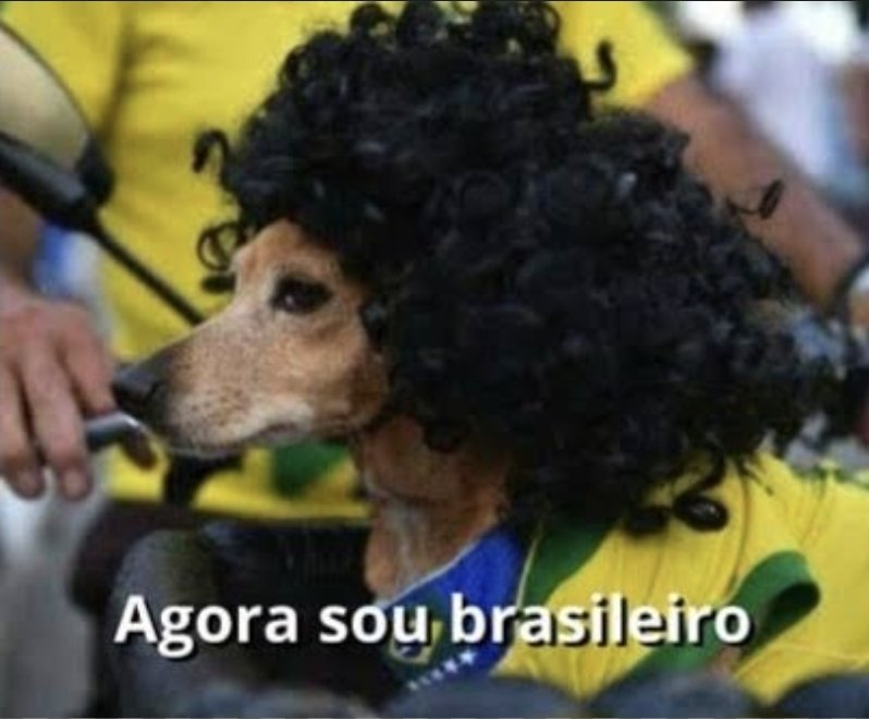 FurrIA_'s tweet photo. @GamevoxPosting Filho da puta, se você colocar apoios nele? https://t.co/GUjirRN7iF