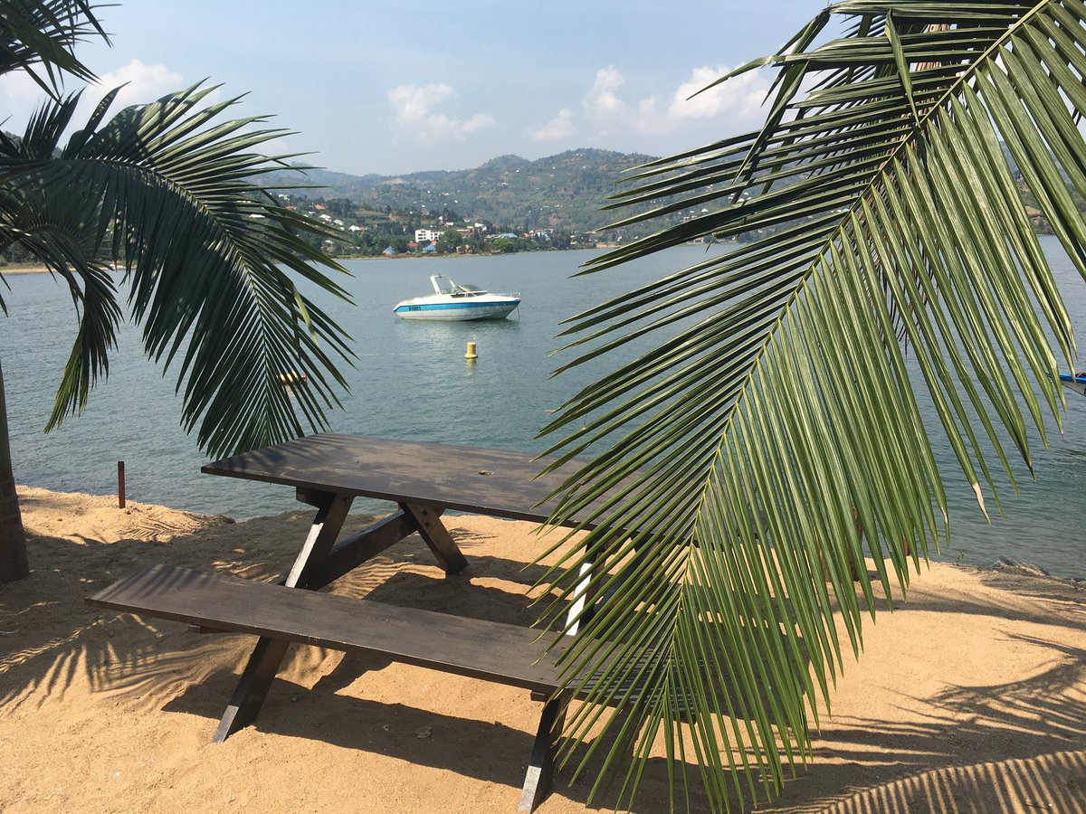 Michelle DeFreese tweet media