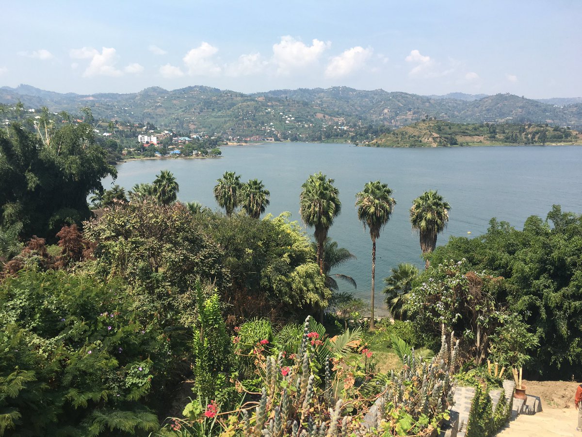 Michelle DeFreese tweet media