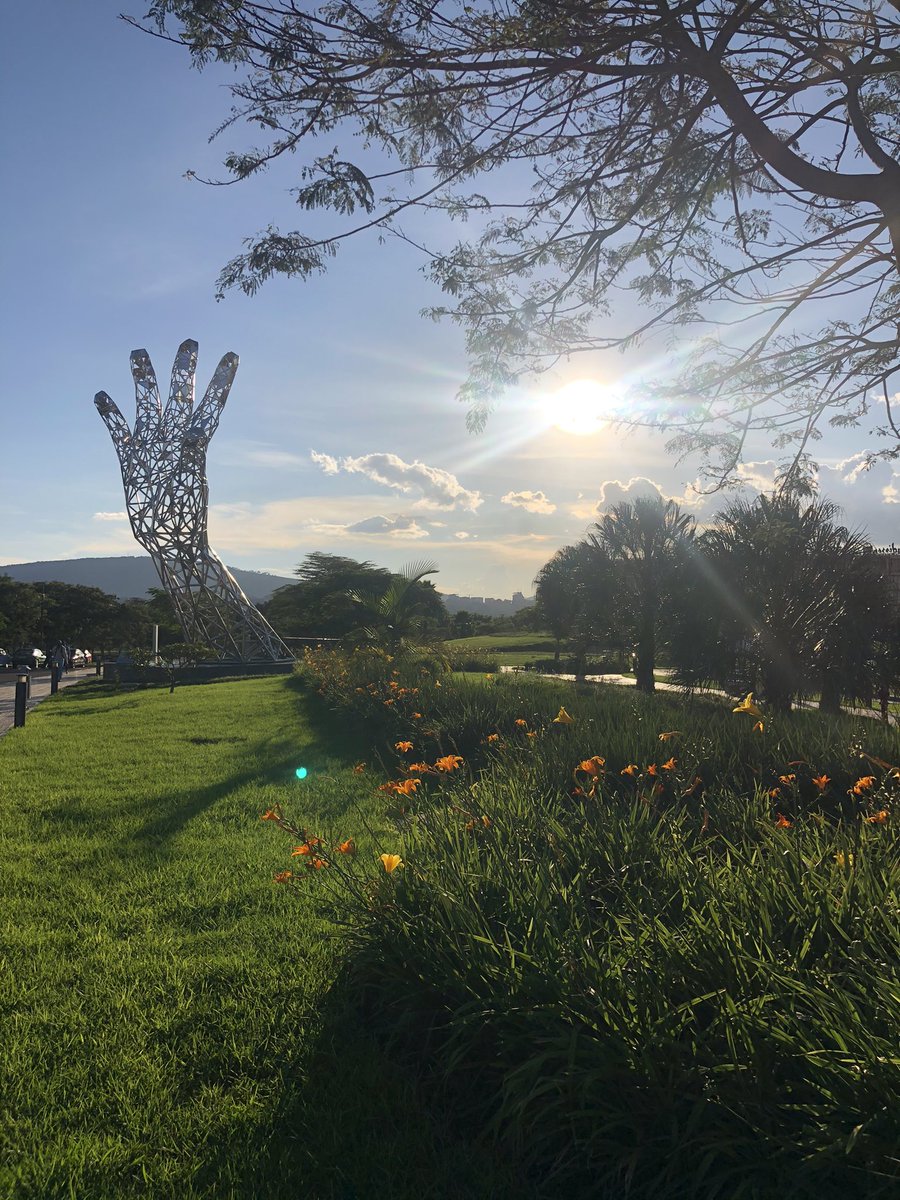 Michelle DeFreese tweet media