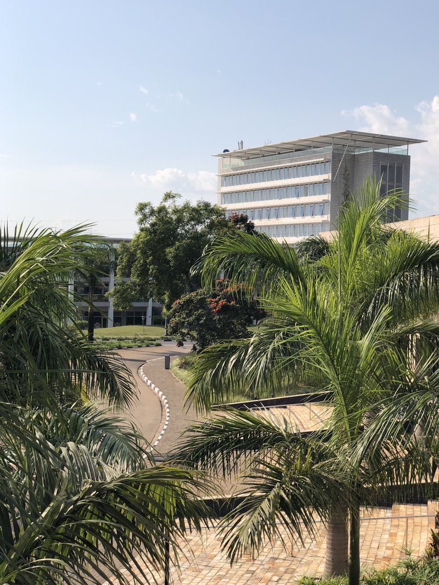 Michelle DeFreese tweet media