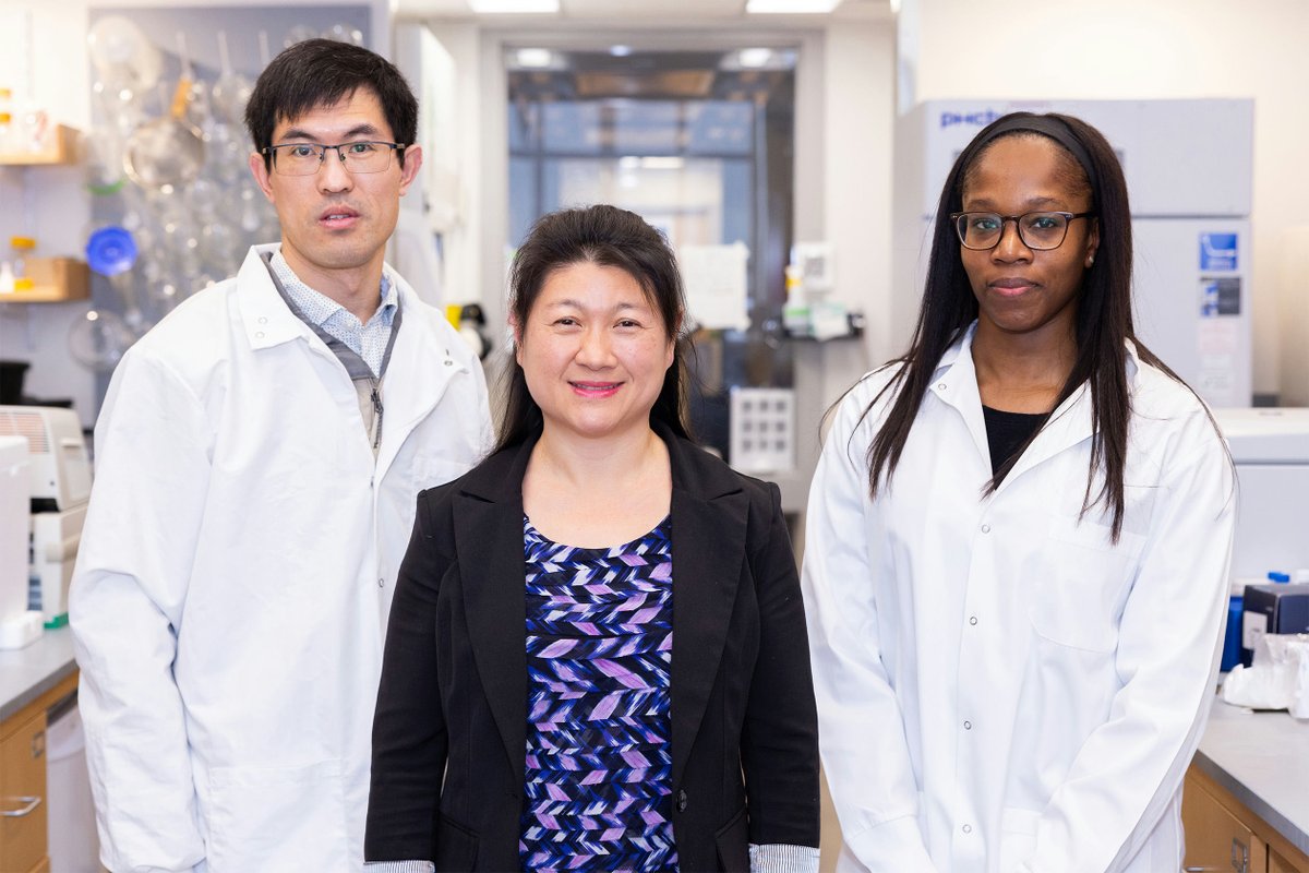 Yale University tweet media