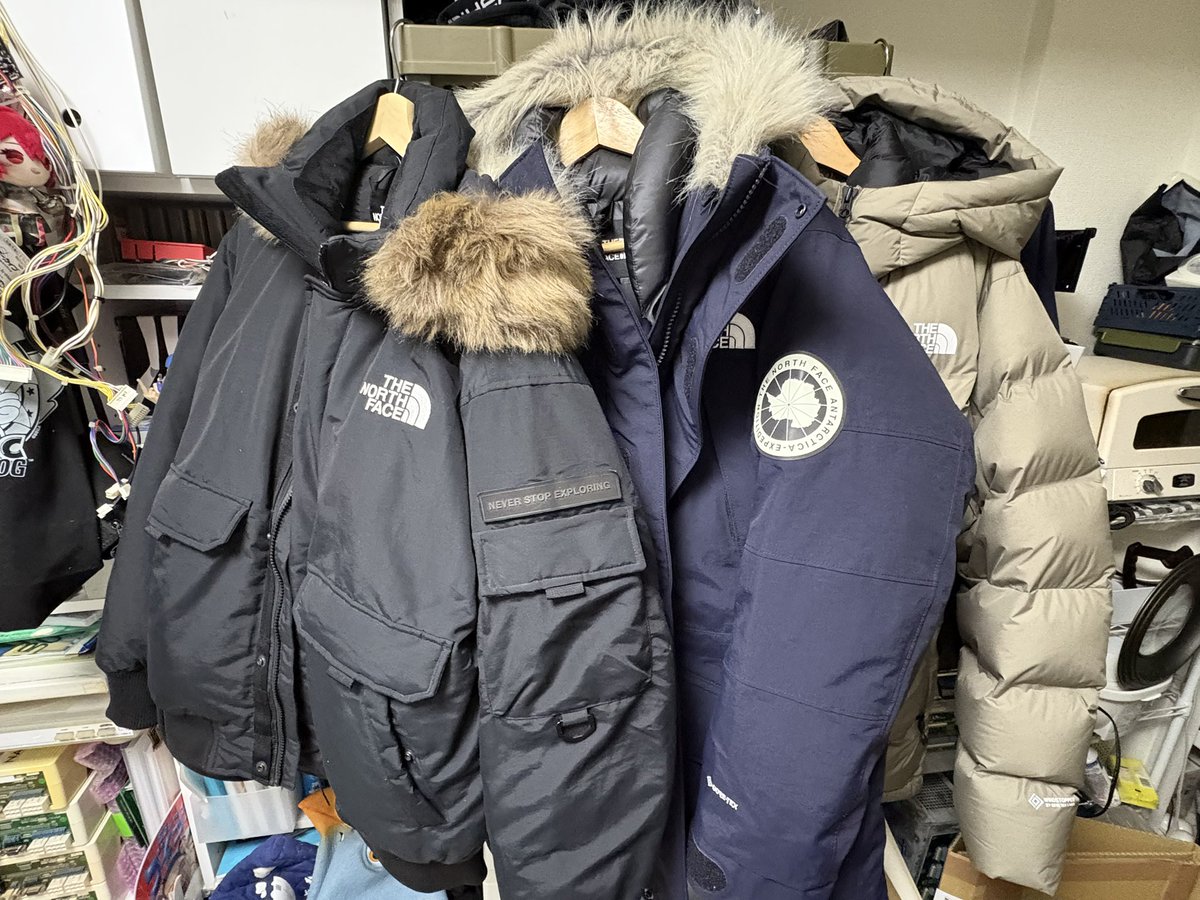 ミツル ⊹⋛⋋( ՞ਊ ՞)⋌⋚⊹ ❌ tweet media