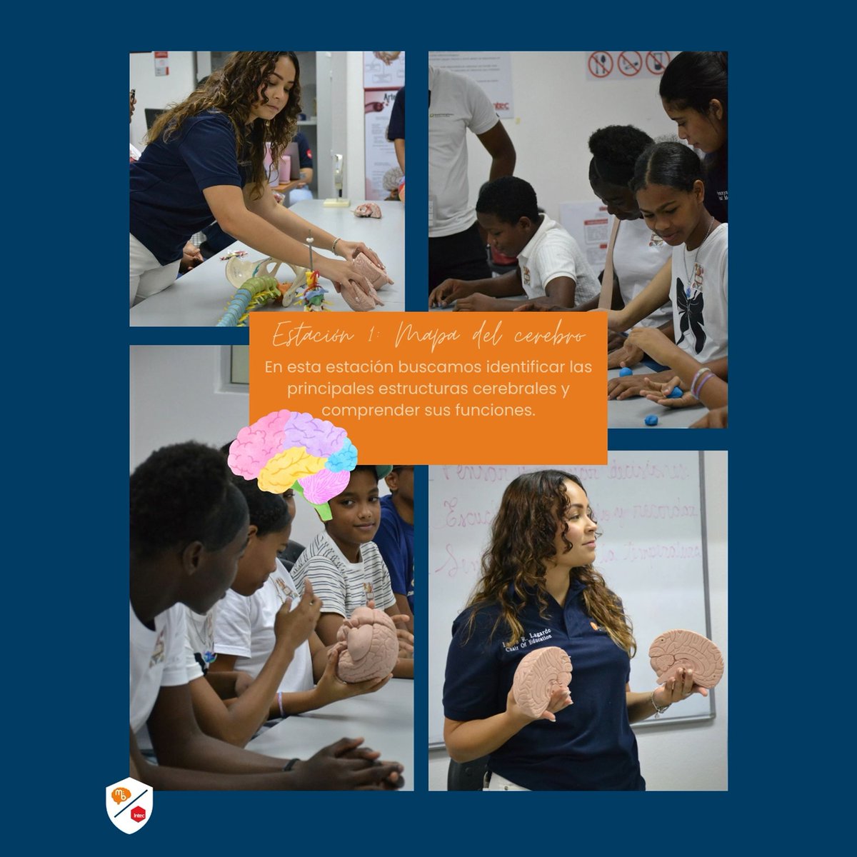 mission:brain tweet media