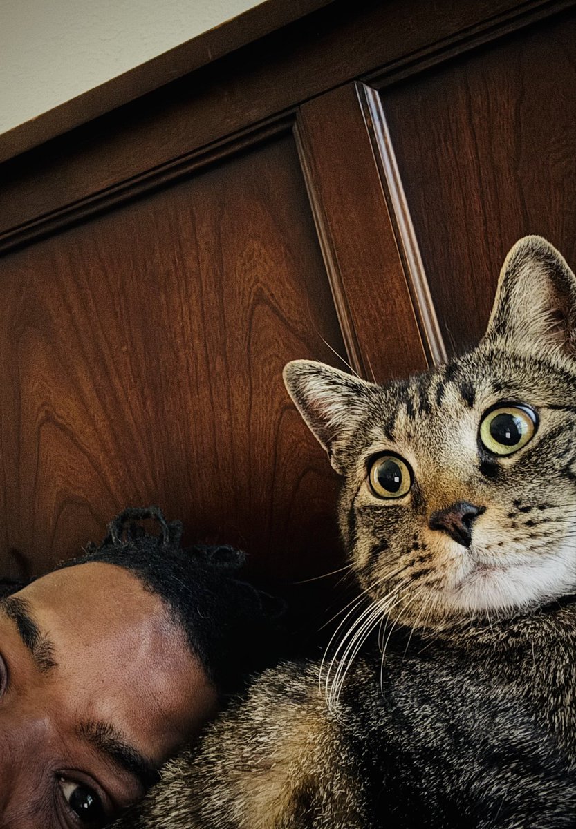 Your Friendly, Neighborhood Jerk tweet media