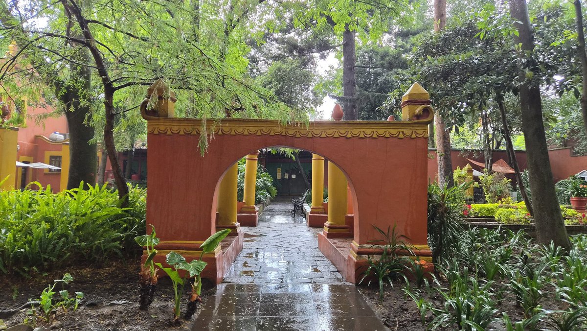juanbflash's tweet image. Fonoteca Nacional #CDMX #Coyoacan #Fonoteca #pictures #photography