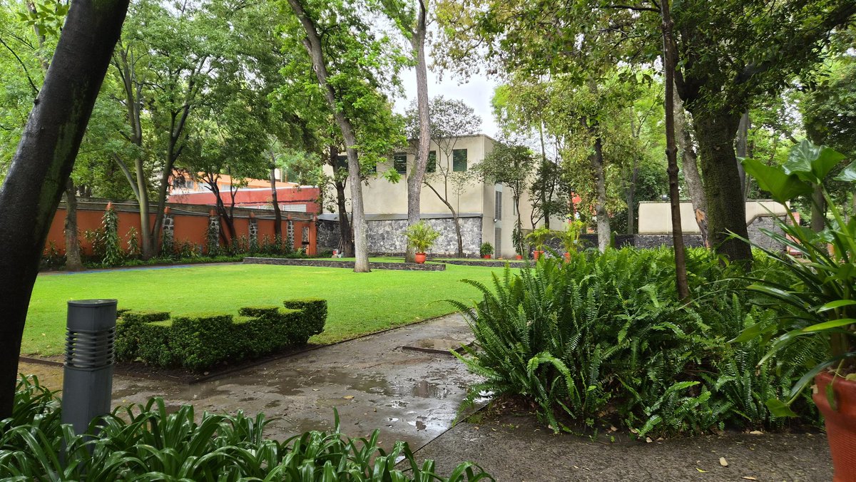 juanbflash's tweet image. Fonoteca Nacional #CDMX #Coyoacan #Fonoteca #pictures #photography