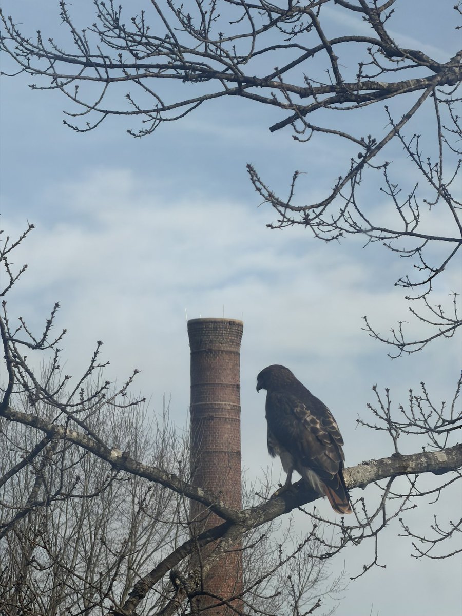 Meredith College tweet media