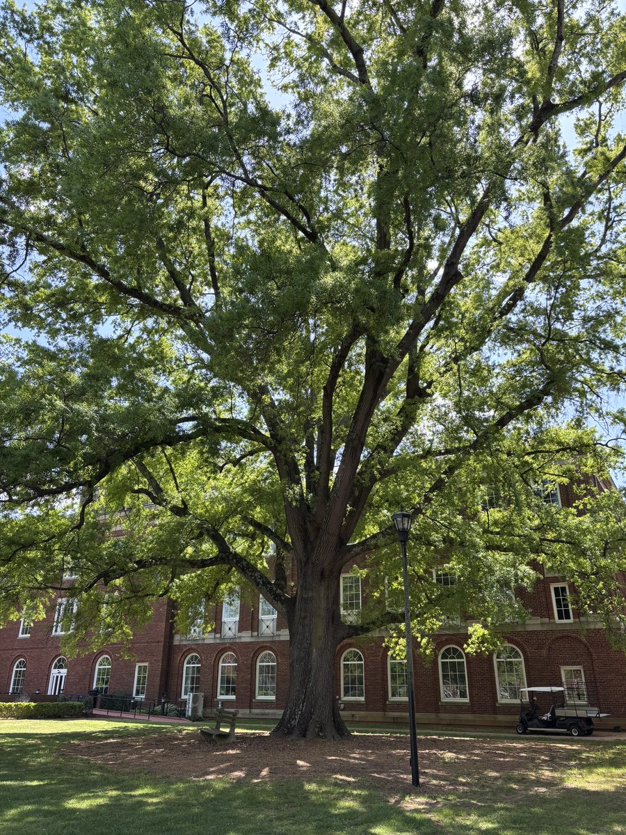 Meredith College tweet media