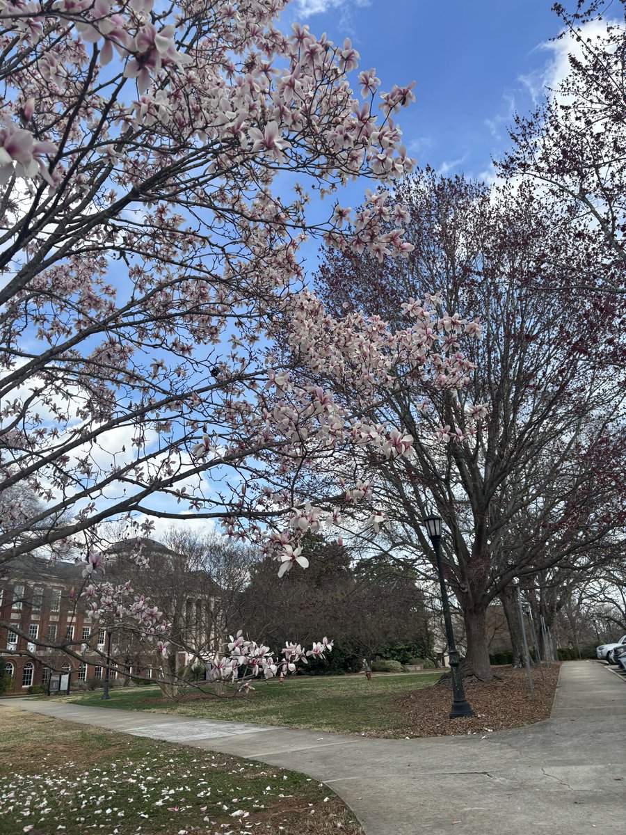 Meredith College tweet media