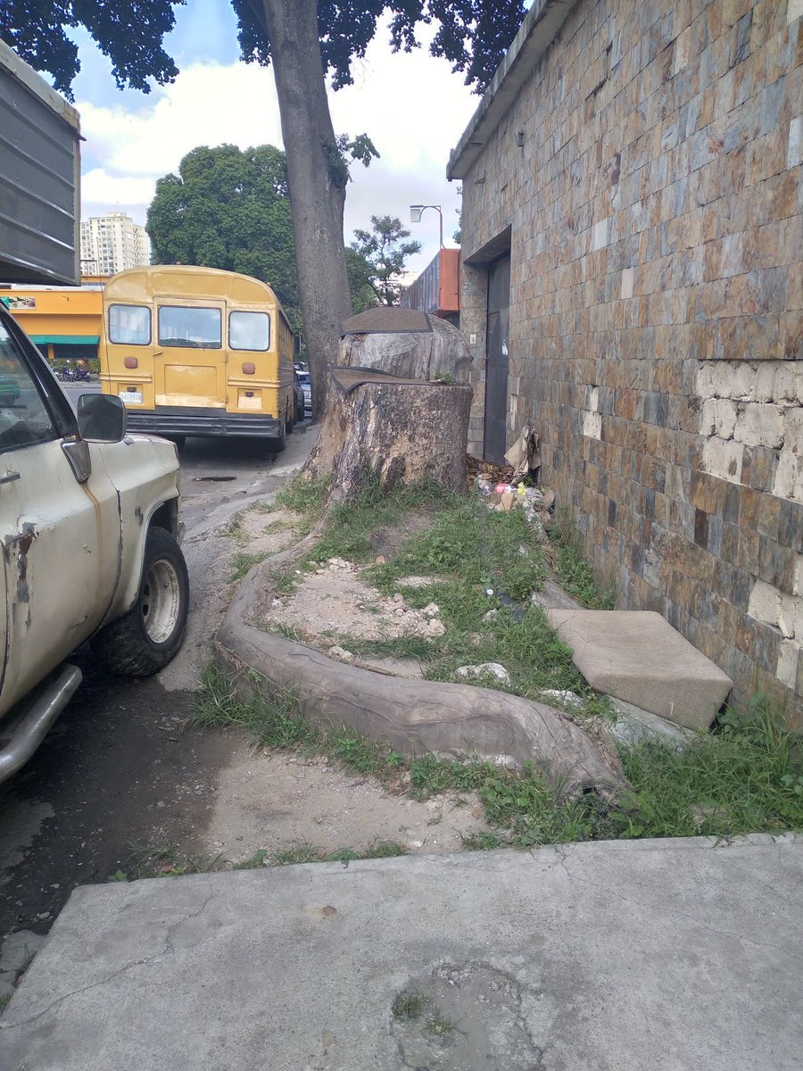 Capitan Snoopy Vzla tweet media