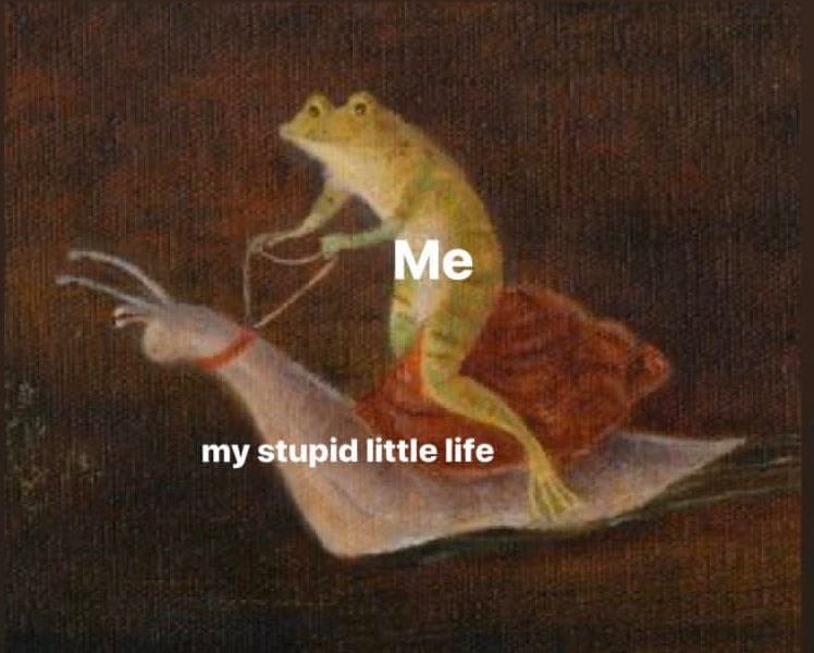 Couldn't figure out why I felt like shit today then I realized I forgot to take my midodrine