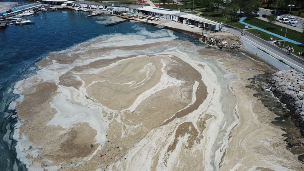 nolmuski tweet media