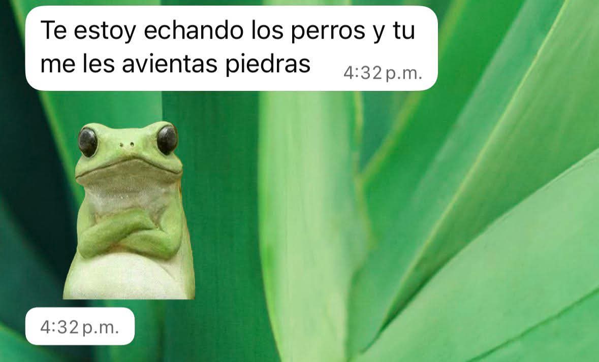 En Júpiter tweet media