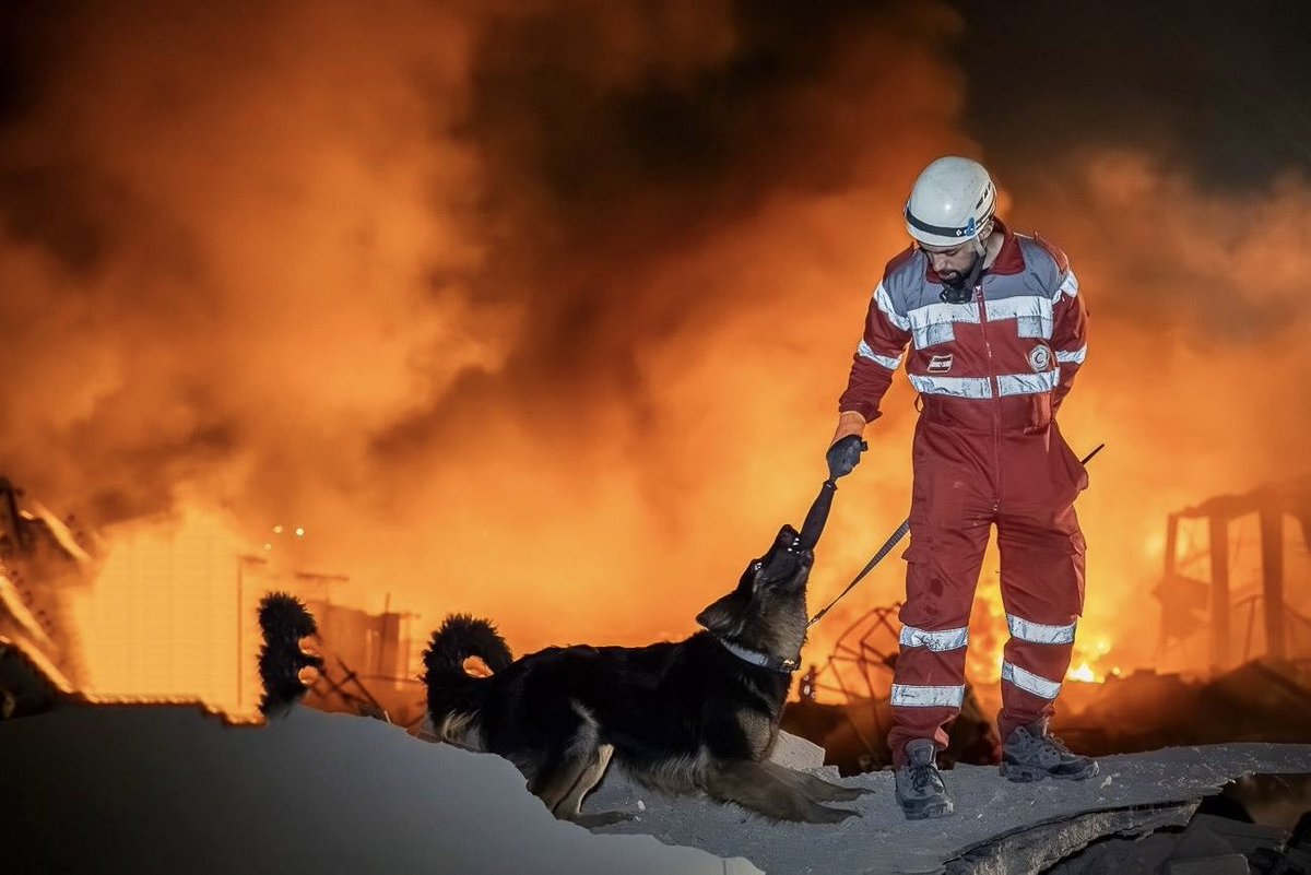 جمعیت هلال‌احمر ایران tweet media