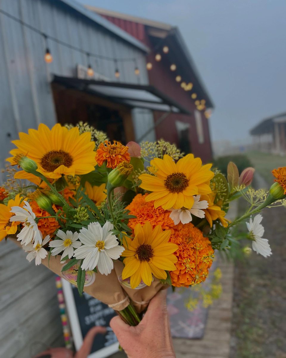 Visit Indian River tweet media