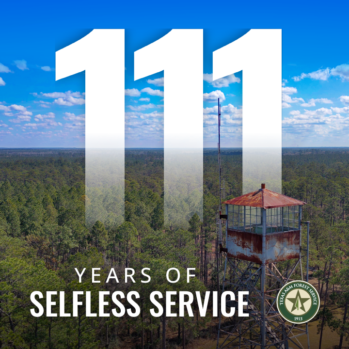 Texas A&M Forest Service tweet media