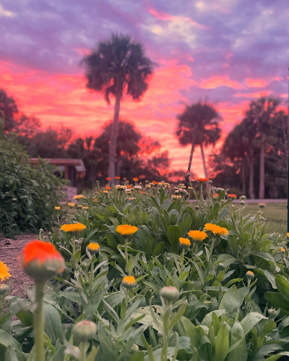 Visit Indian River tweet media