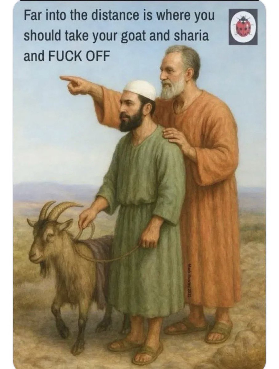 Scout Sniper 8541 tweet media