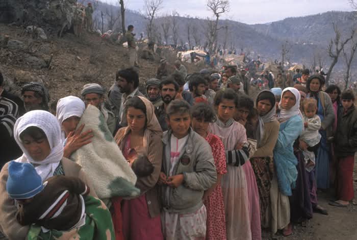 Newzad mehmud tweet media