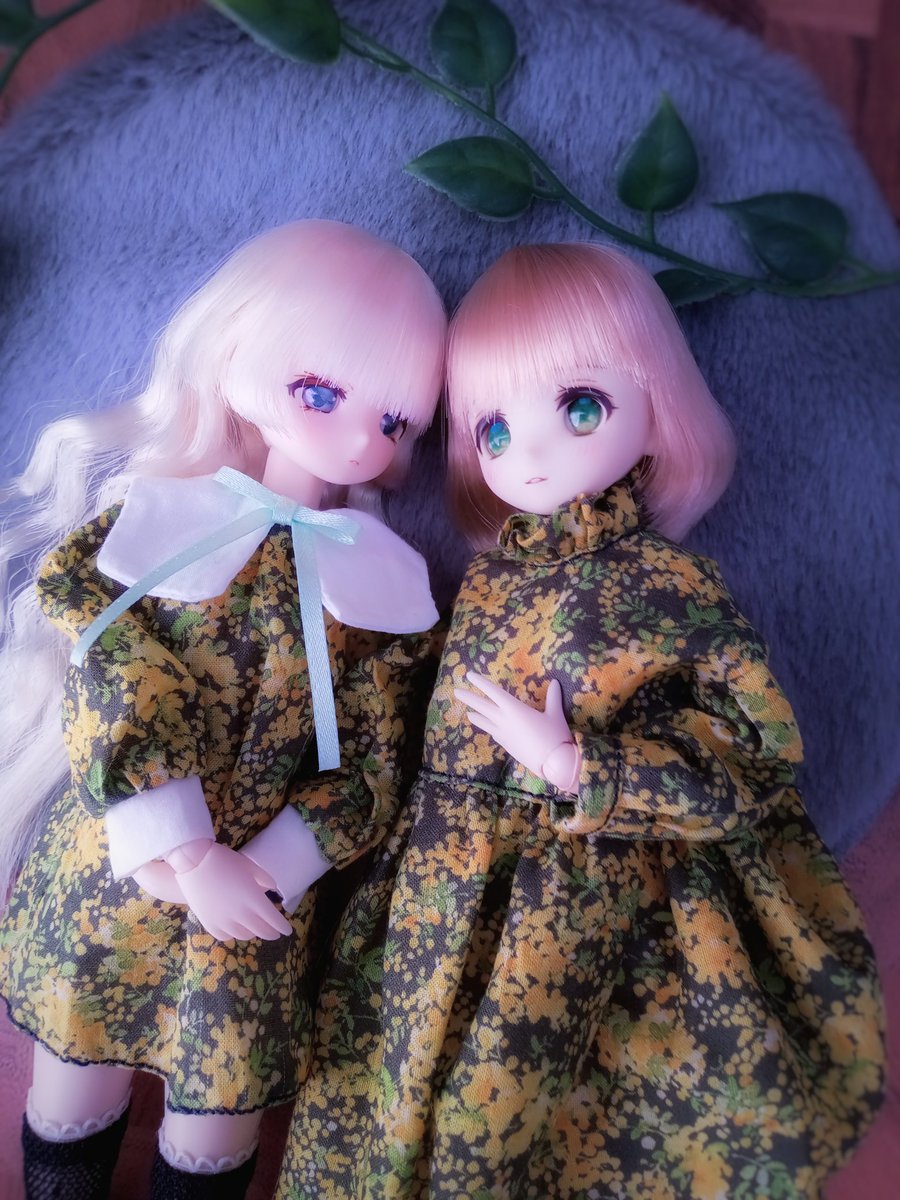 264a2e's tweet photo. #3月を写真４枚で振り返る 
#尾櫃制服計画 
オビツコラボ布のミモザ柄でワンピースを作ったりお金持ちごっこをしたり。 https://t.co/cuXccW87i0