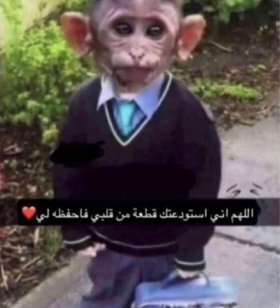 ‏بـــــــــ tweet media